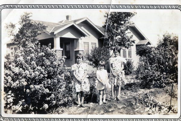 Photo of Jeanine VanKerckhove